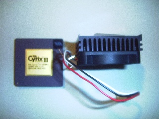 横から見ると・・・