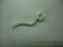 �����j��